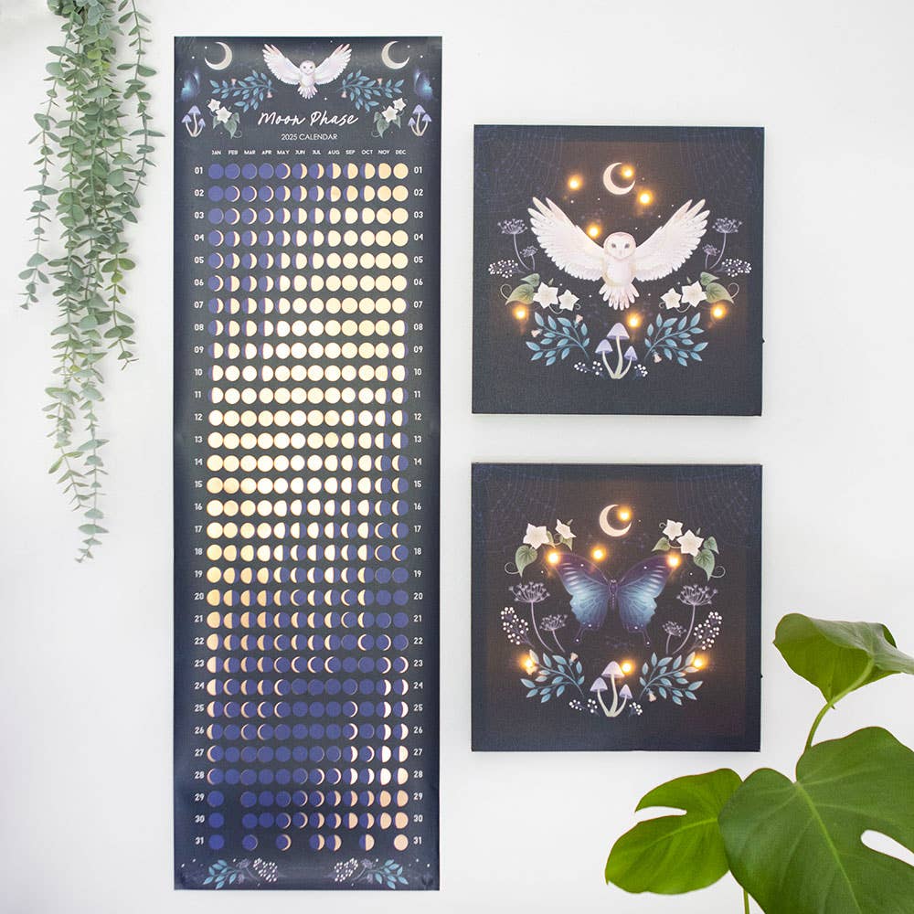 Leuchtendes Leinwandschild Nachteule