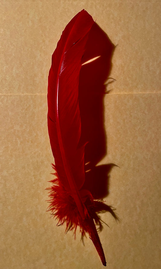 Schreibfeder in Rot, erhältlich bei Schwarzer Kater